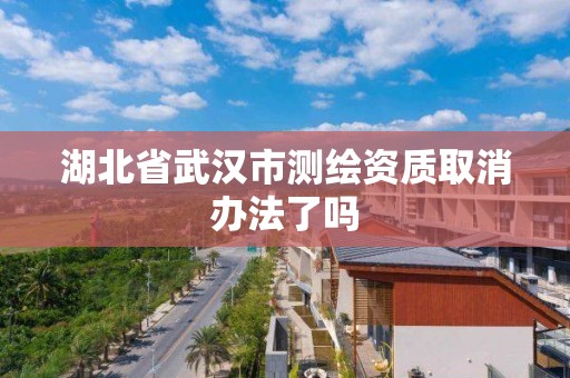 湖北省武汉市测绘资质取消办法了吗