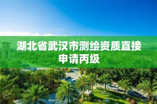 湖北省武汉市测绘资质直接申请丙级