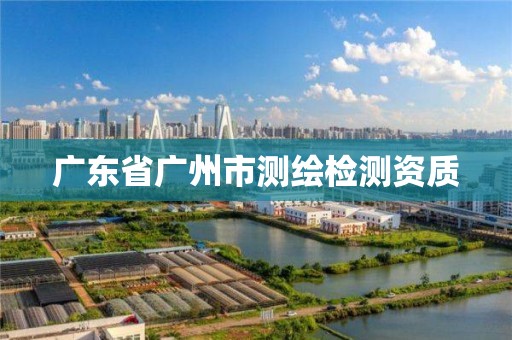 广东省广州市测绘检测资质