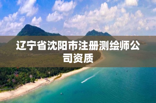 辽宁省沈阳市注册测绘师公司资质