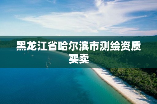 黑龙江省哈尔滨市测绘资质买卖