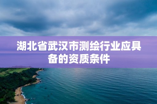 湖北省武汉市测绘行业应具备的资质条件