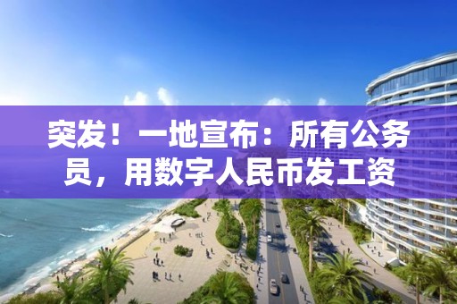 突发！一地宣布：所有公务员，用数字人民币发工资