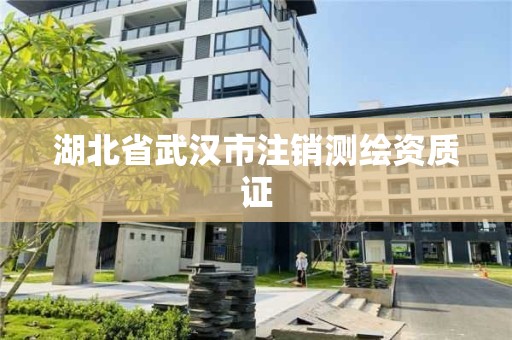 湖北省武汉市注销测绘资质证