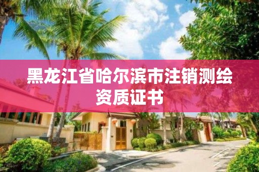 黑龙江省哈尔滨市注销测绘资质证书