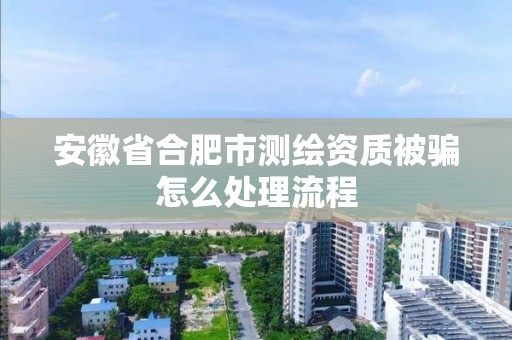 安徽省合肥市测绘资质被骗怎么处理流程