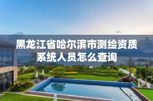 黑龙江省哈尔滨市测绘资质系统人员怎么查询