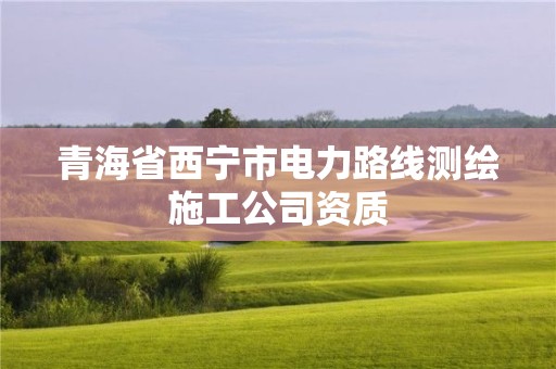 青海省西宁市电力路线测绘施工公司资质