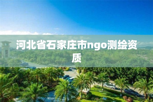 河北省石家庄市ngo测绘资质