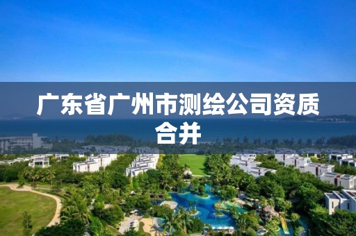 广东省广州市测绘公司资质合并