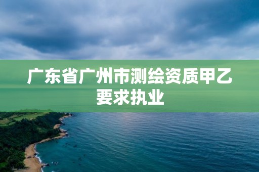 广东省广州市测绘资质甲乙要求执业