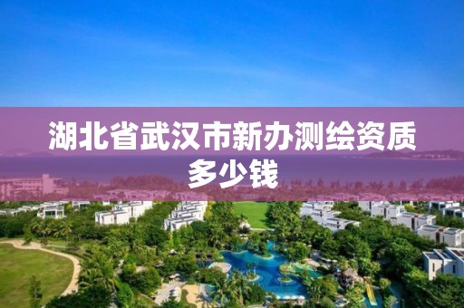 湖北省武汉市新办测绘资质多少钱