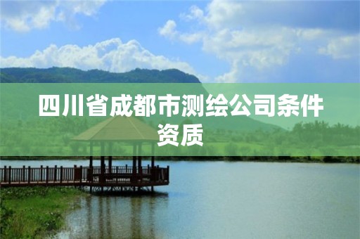 四川省成都市测绘公司条件资质