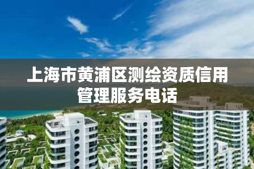 上海市黄浦区测绘资质信用管理服务电话