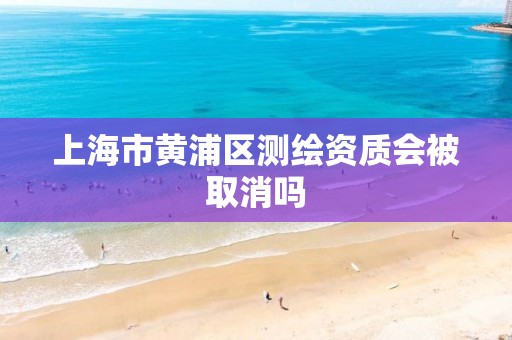 上海市黄浦区测绘资质会被取消吗