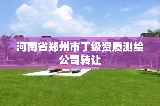 河南省郑州市丁级资质测绘公司转让