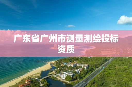 广东省广州市测量测绘投标资质