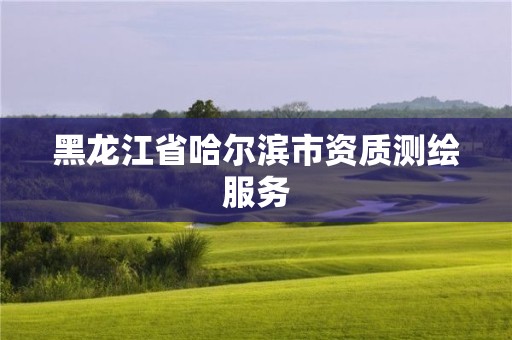 黑龙江省哈尔滨市资质测绘服务