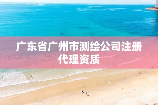 广东省广州市测绘公司注册代理资质