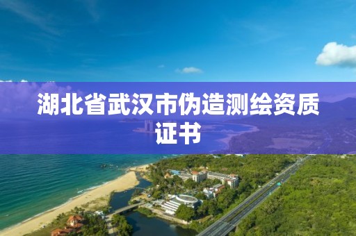 湖北省武汉市伪造测绘资质证书