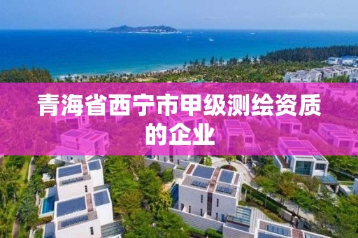 青海省西宁市甲级测绘资质的企业