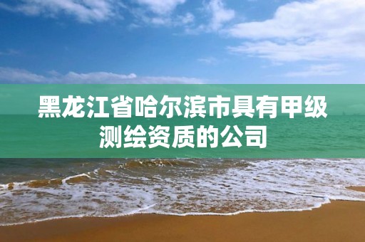 黑龙江省哈尔滨市具有甲级测绘资质的公司