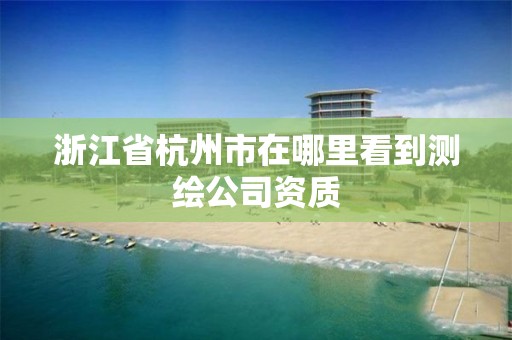 浙江省杭州市在哪里看到测绘公司资质