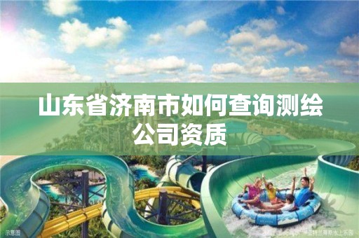 山东省济南市如何查询测绘公司资质