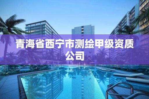 青海省西宁市测绘甲级资质公司