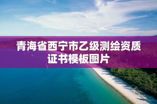 青海省西宁市乙级测绘资质证书模板图片