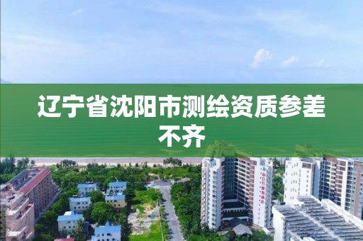 辽宁省沈阳市测绘资质参差不齐