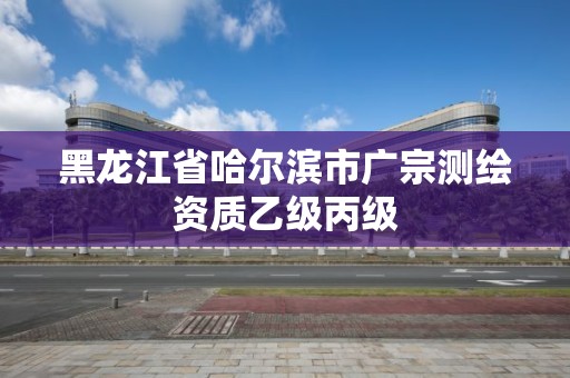 黑龙江省哈尔滨市广宗测绘资质乙级丙级