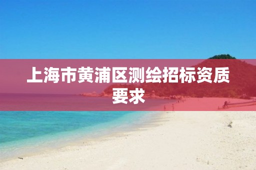 上海市黄浦区测绘招标资质要求