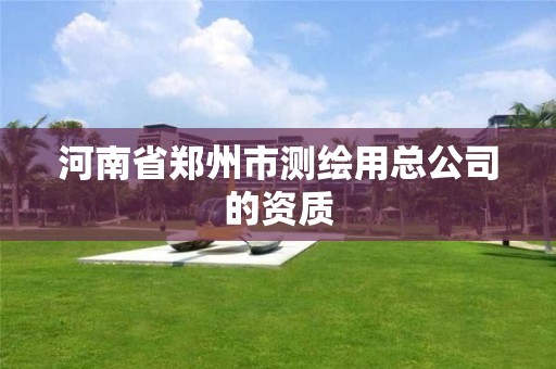 河南省郑州市测绘用总公司的资质