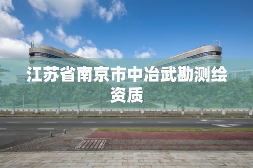 江苏省南京市中冶武勘测绘资质