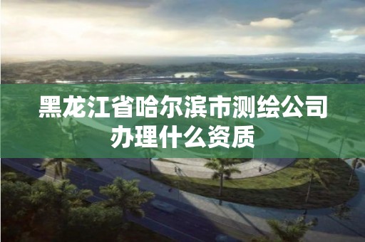 黑龙江省哈尔滨市测绘公司办理什么资质