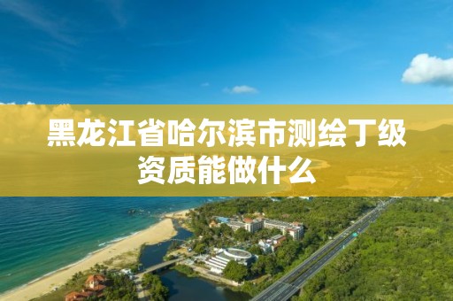 黑龙江省哈尔滨市测绘丁级资质能做什么