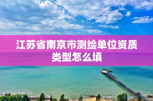 江苏省南京市测绘单位资质类型怎么填