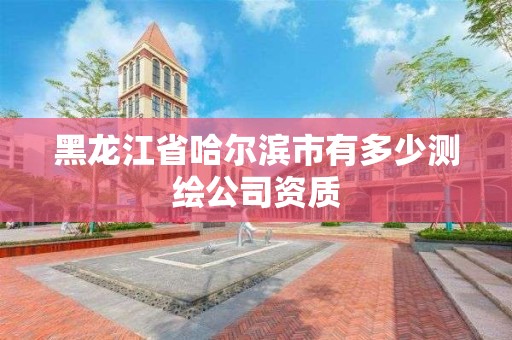 黑龙江省哈尔滨市有多少测绘公司资质