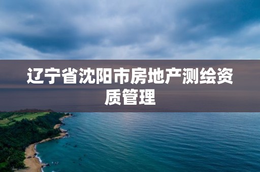 辽宁省沈阳市房地产测绘资质管理