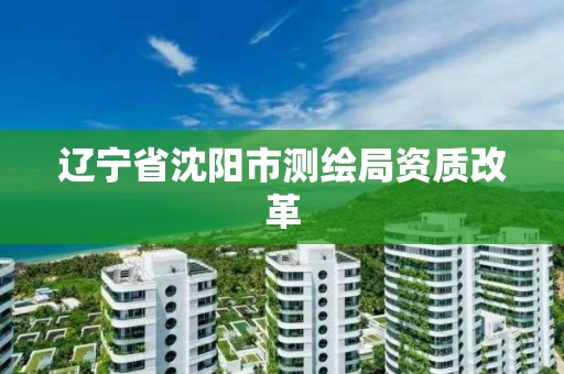 辽宁省沈阳市测绘局资质改革