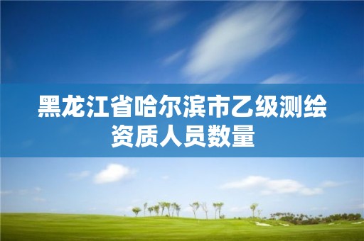 黑龙江省哈尔滨市乙级测绘资质人员数量