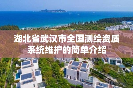 湖北省武汉市全国测绘资质系统维护的简单介绍