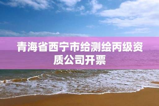 青海省西宁市给测绘丙级资质公司开票