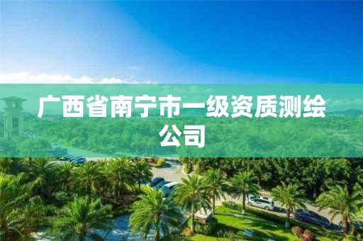 广西省南宁市一级资质测绘公司