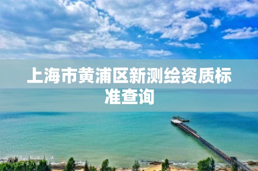 上海市黄浦区新测绘资质标准查询