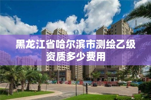 黑龙江省哈尔滨市测绘乙级资质多少费用