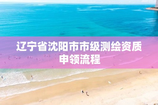 辽宁省沈阳市市级测绘资质申领流程