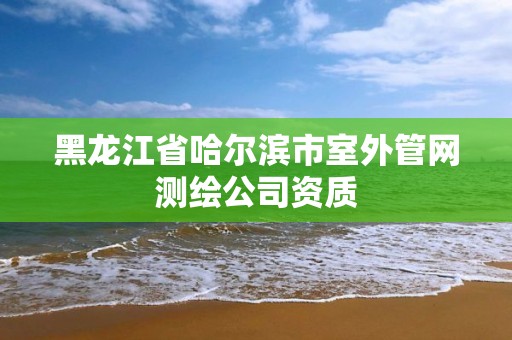 黑龙江省哈尔滨市室外管网测绘公司资质