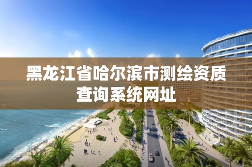 黑龙江省哈尔滨市测绘资质查询系统网址